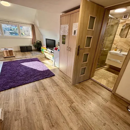 Villa Holiday Tatry Nova Lesna